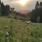 Vintage With Private Garden In Rendeux Ferienhaus