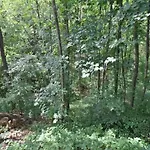 Vintage With Private Garden In Rendeux Ferienhaus