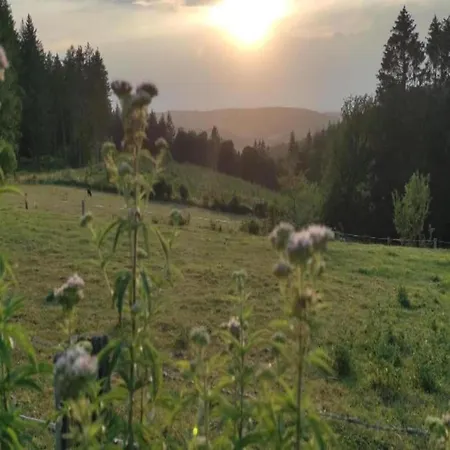 Vintage With Private Garden In Rendeux 別荘 *